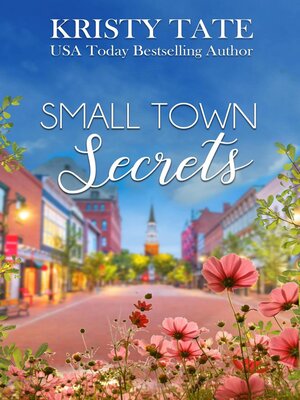 cover image of Small Town Secrets